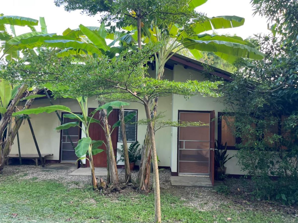 بيت شباب Brown House Chiangdao تْشينغْ داوْ المظهر الخارجي الصورة