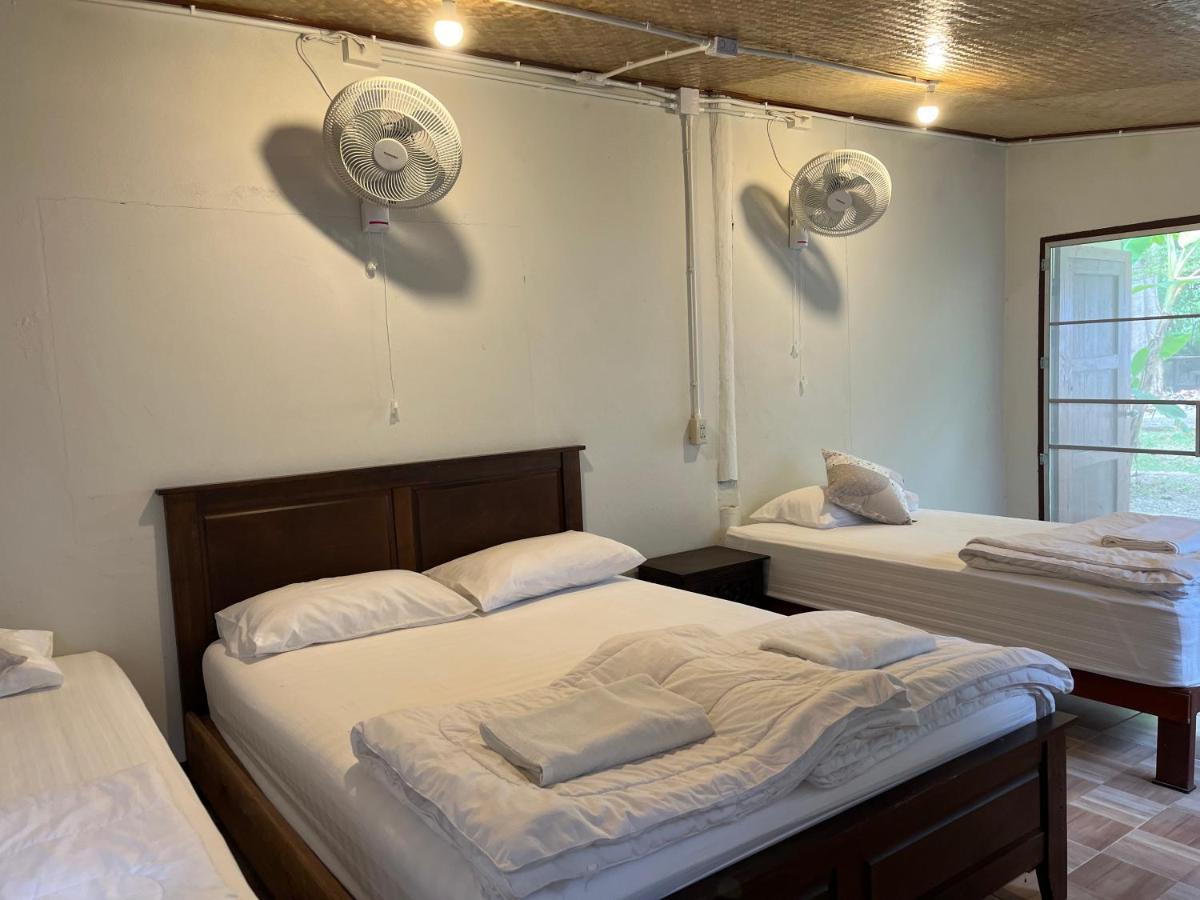 بيت شباب Brown House Chiangdao تْشينغْ داوْ المظهر الخارجي الصورة