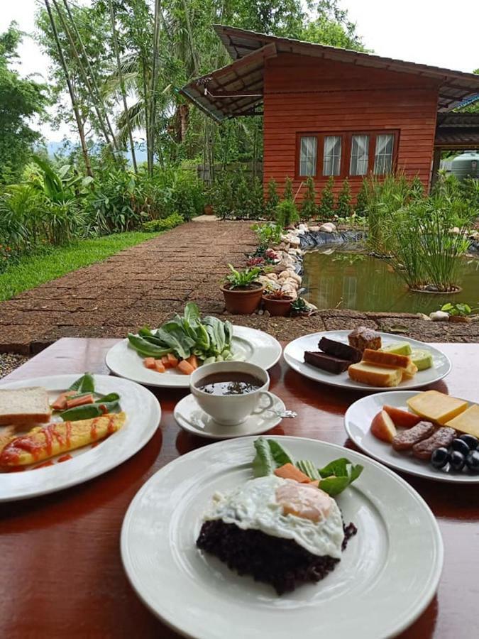 بيت شباب Brown House Chiangdao تْشينغْ داوْ المظهر الخارجي الصورة
