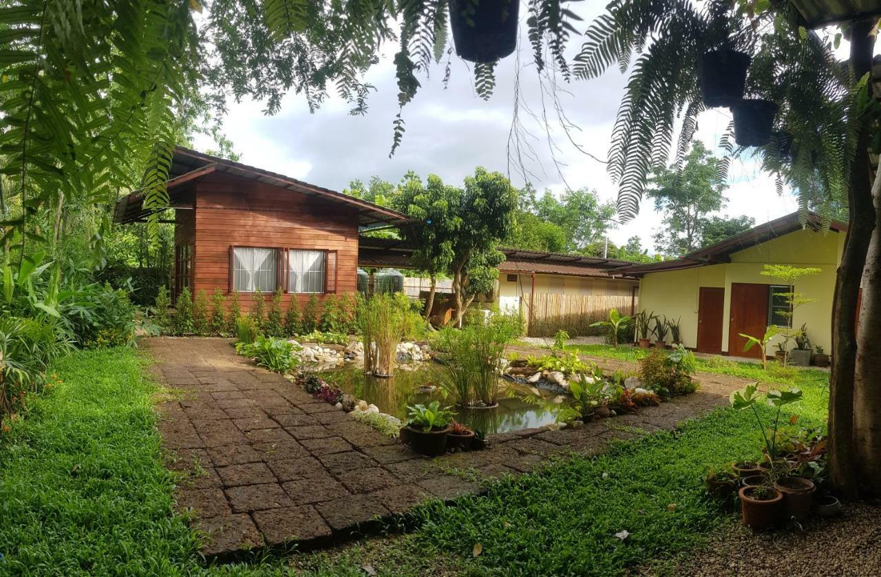 بيت شباب Brown House Chiangdao تْشينغْ داوْ المظهر الخارجي الصورة